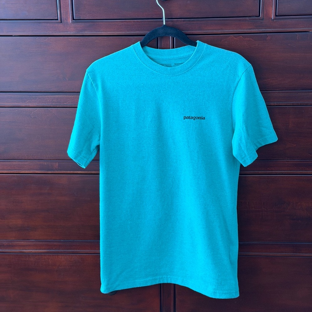 Patagonia Men's Green Short Sleeve Tee